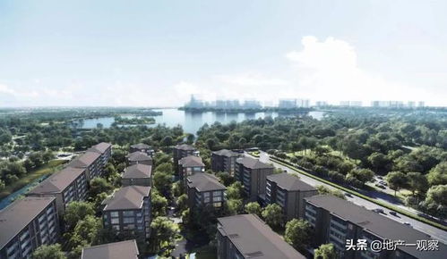 驗資200萬才能看房,萬科2022年第一個頂豪亮相